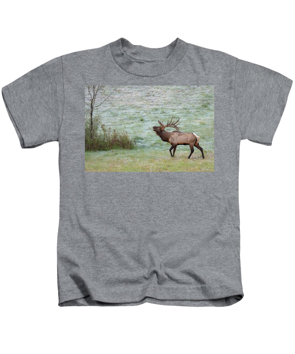 Elk Kids T-Shirt featuring the photograph Bugling Bull by Rod Best