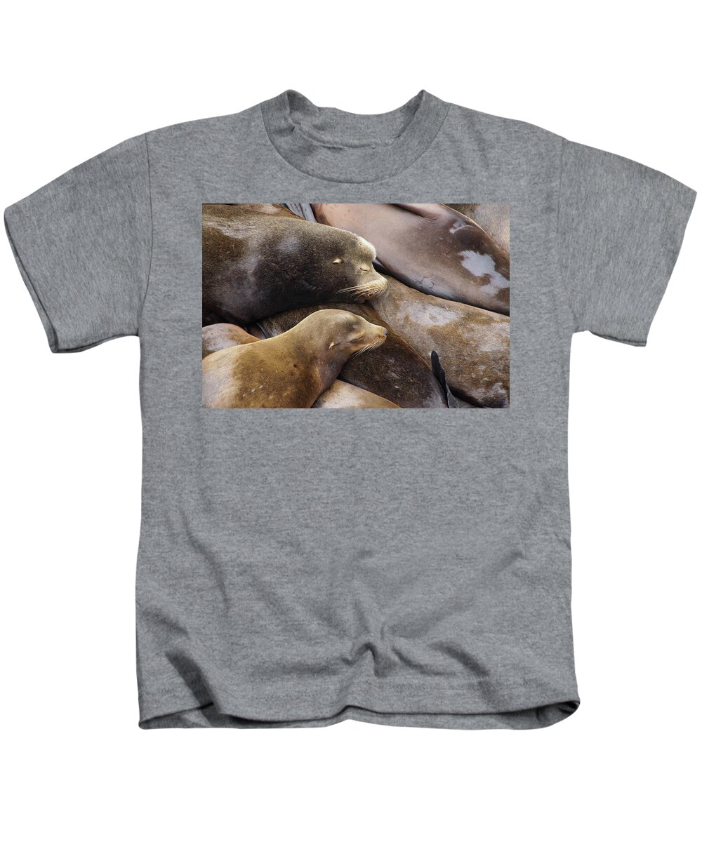 Animal Kids T-Shirt featuring the photograph California sea lions sleep in huddled piles by Steve Estvanik