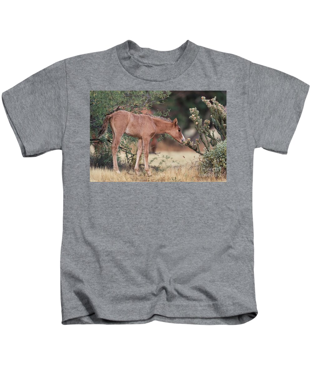 Foal Kids T-Shirt featuring the photograph Can I Eat This? by Shannon Hastings