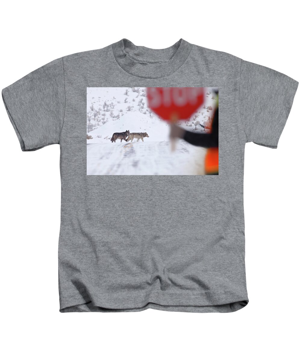 Yellowstone Kids T-Shirt featuring the photograph Crossing Guard by Eilish Palmer