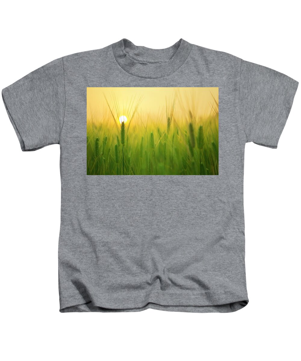 Photo Kids T-Shirt featuring the photograph Dawn at the wheat field by Top Wallpapers