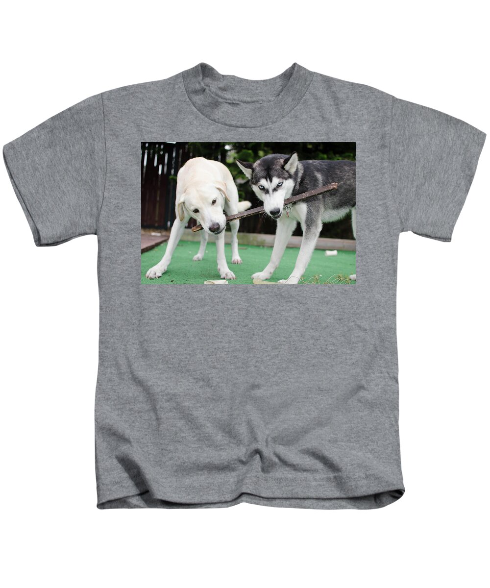  Kids T-Shirt featuring the photograph Dogs by Dmdcreative Photography