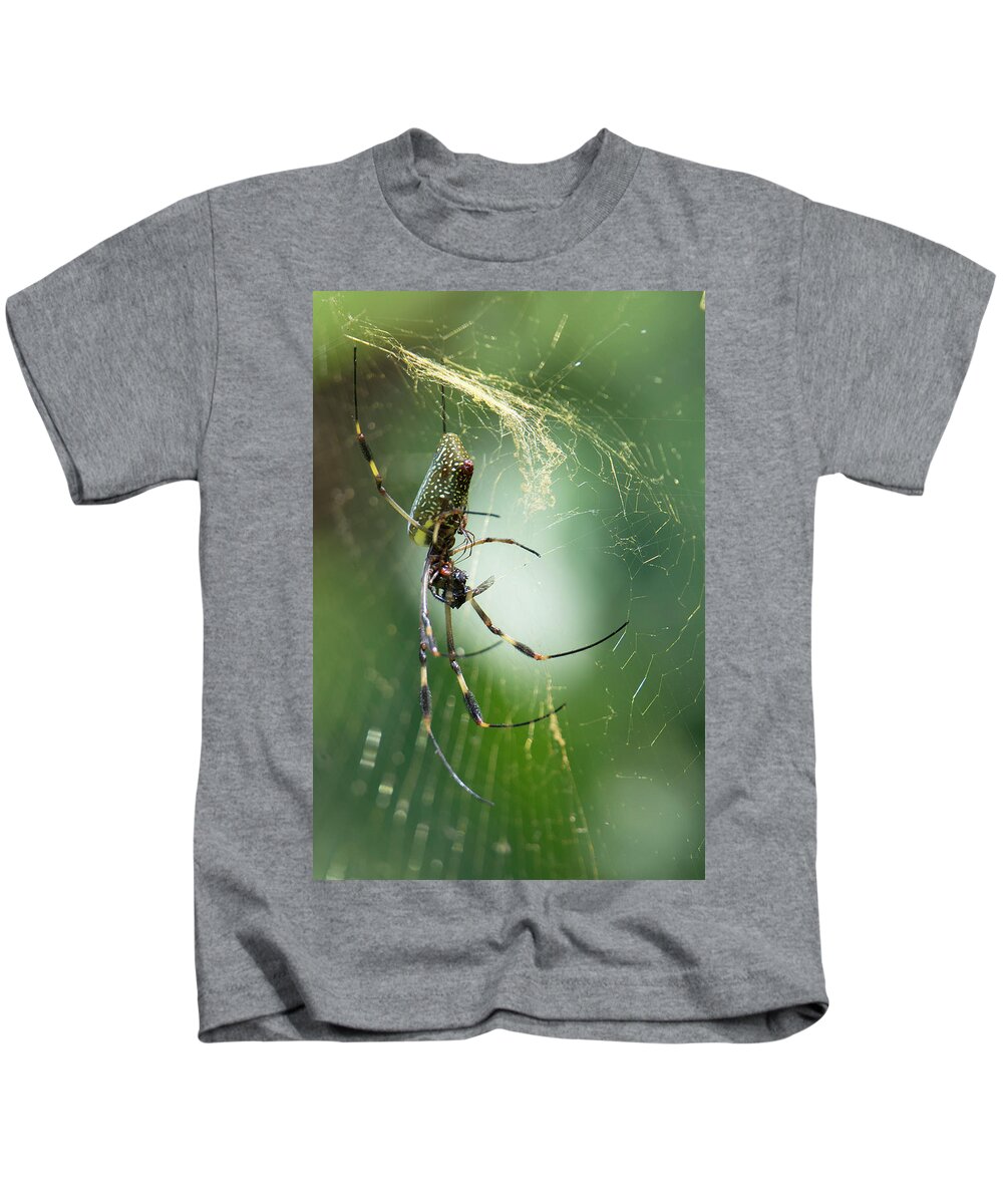Spider Kids T-Shirt featuring the photograph Golden Orbs by Patrick Nowotny