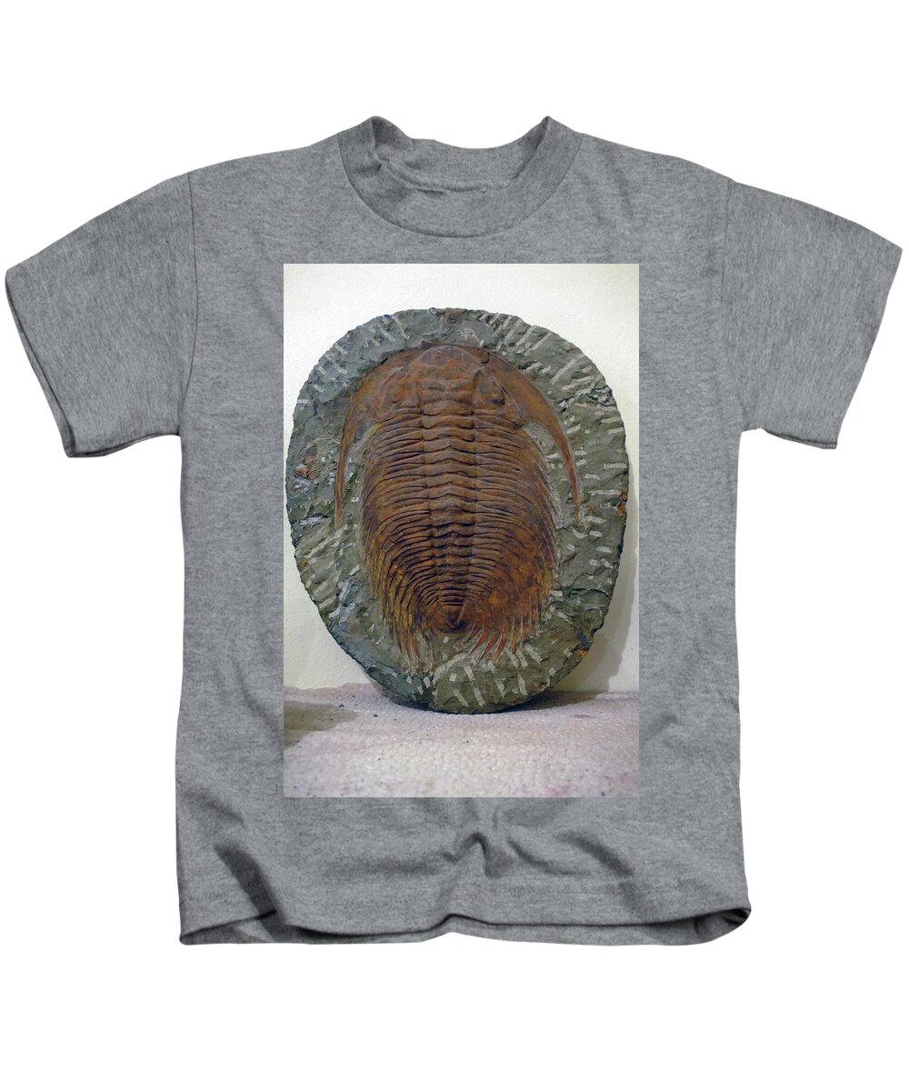 Erfouad Kids T-Shirt featuring the photograph Huge trilobite fossil, hundreds of millions of years old by Steve Estvanik