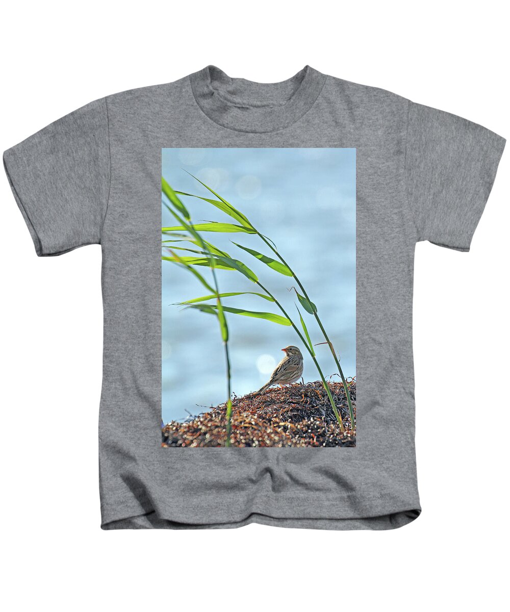 New Jersey Kids T-Shirt featuring the photograph Ipswich Sparrow by Jennifer Robin