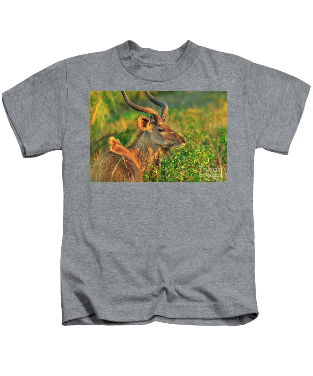 Kudu Kids T-Shirt featuring the photograph Kudu Male Portrait by Benny Marty