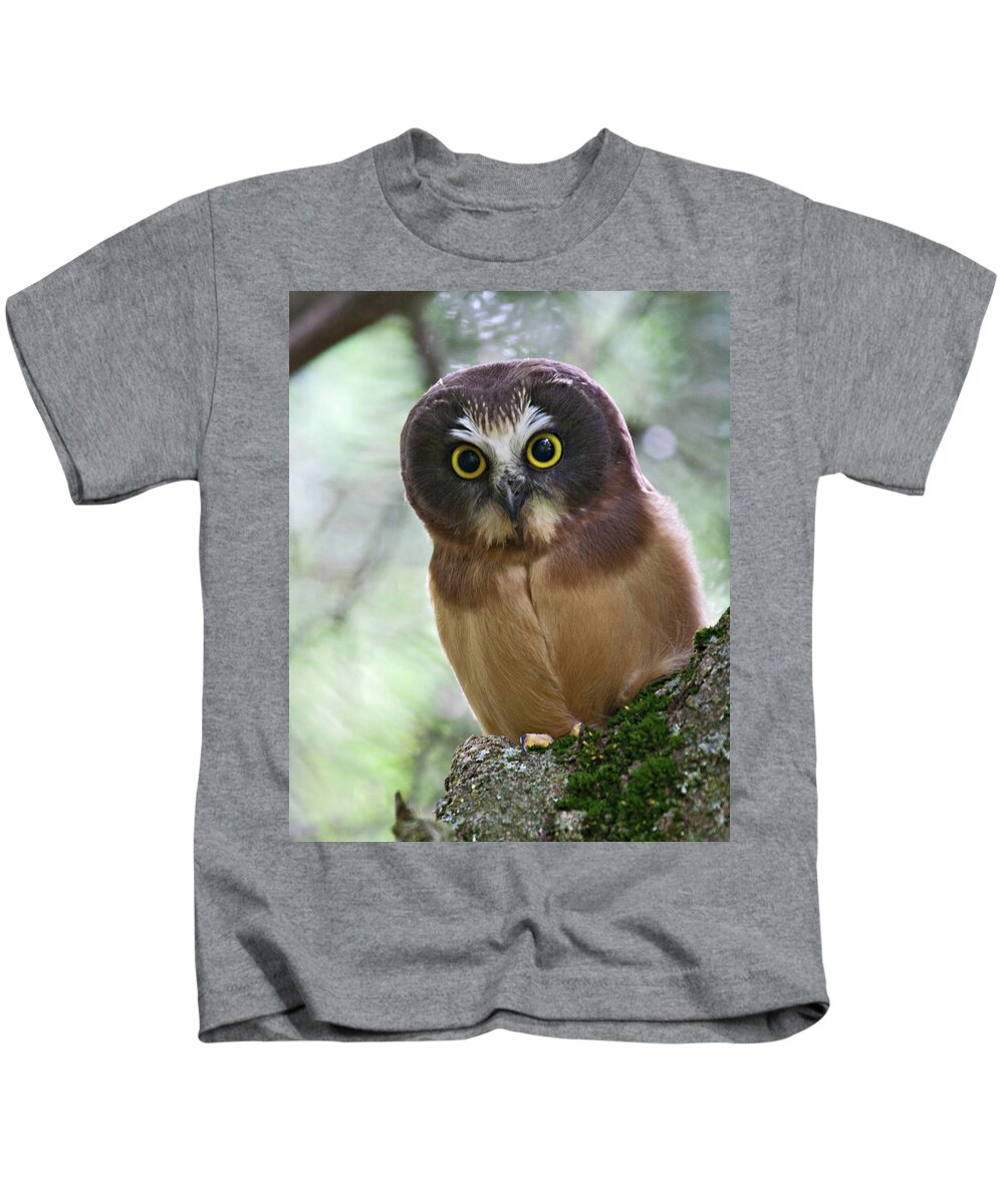 Birds Kids T-Shirt featuring the photograph Little Owl by Wesley Aston