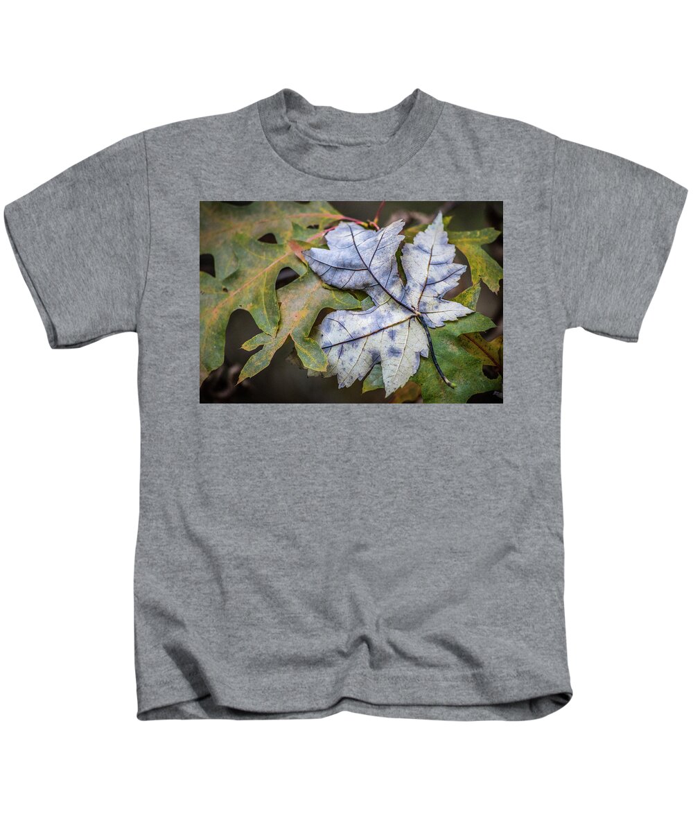 Archbold Kids T-Shirt featuring the photograph Maple And Oak by Michael Arend