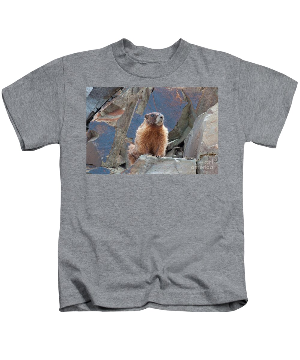 Colorado Kids T-Shirt featuring the photograph Marmot Lookout by Julia McHugh
