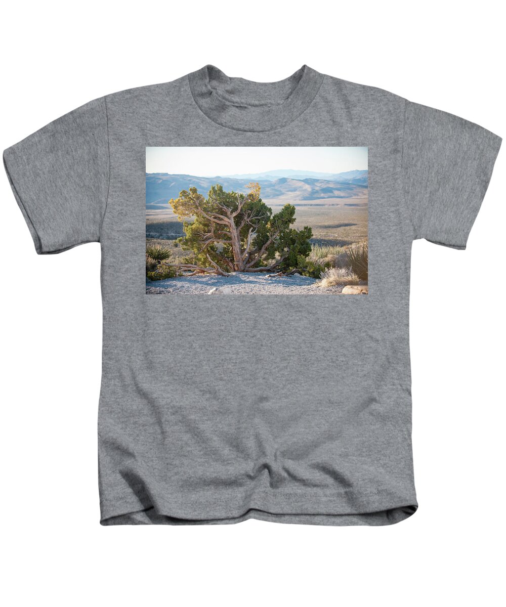 Red Rock Canyon Kids T-Shirt featuring the photograph Mesquite in Nevada Desert by Mark Duehmig