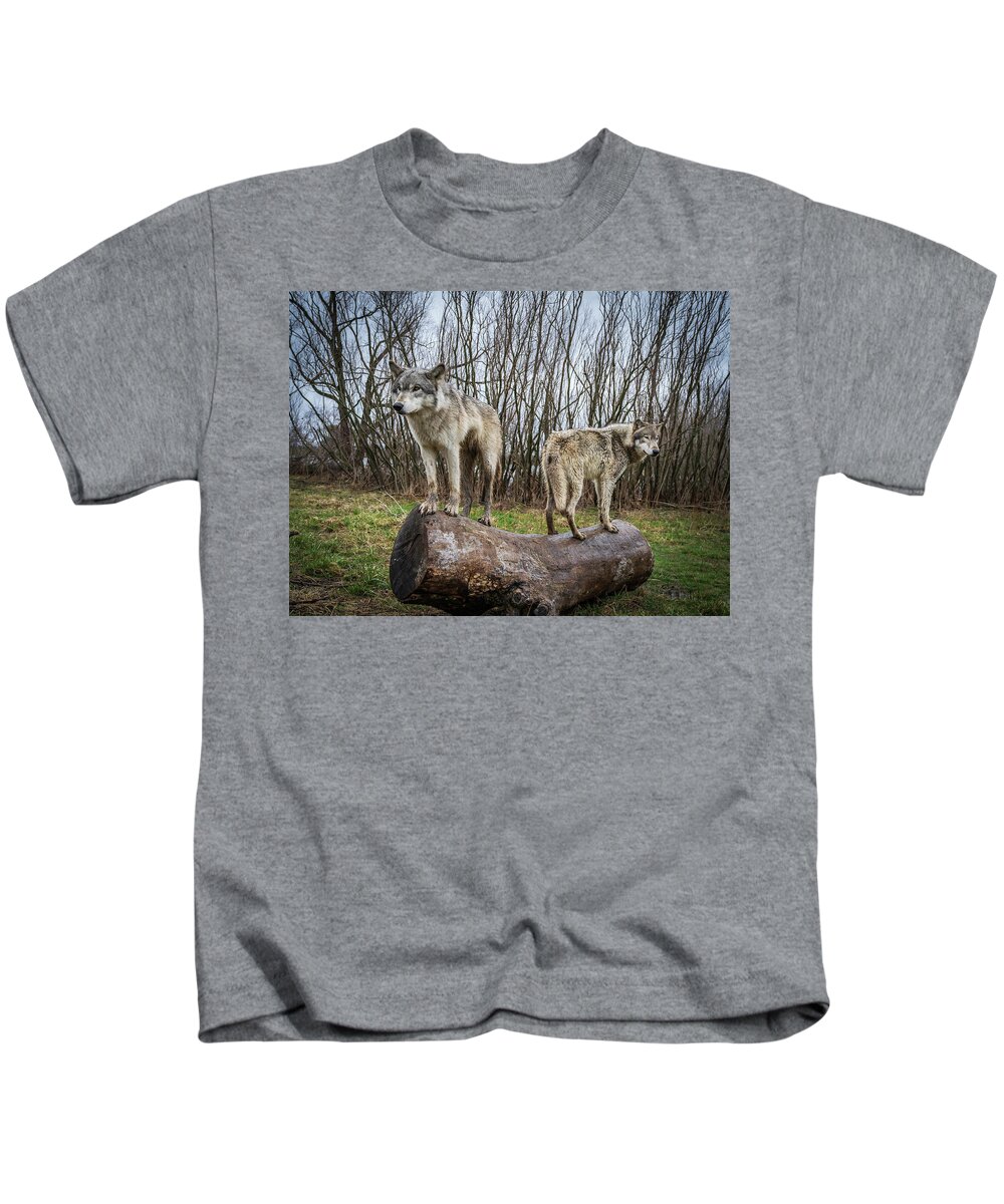 Wolves Wolf Kids T-Shirt featuring the photograph Opposite Ends by Laura Hedien