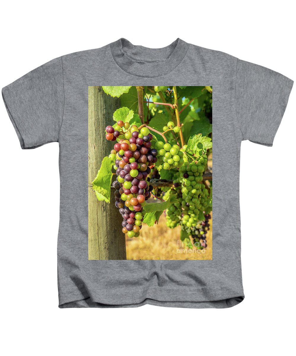 Grapes Kids T-Shirt featuring the photograph Pinot Gris Willamette Valley Vineyard by Leslie Struxness