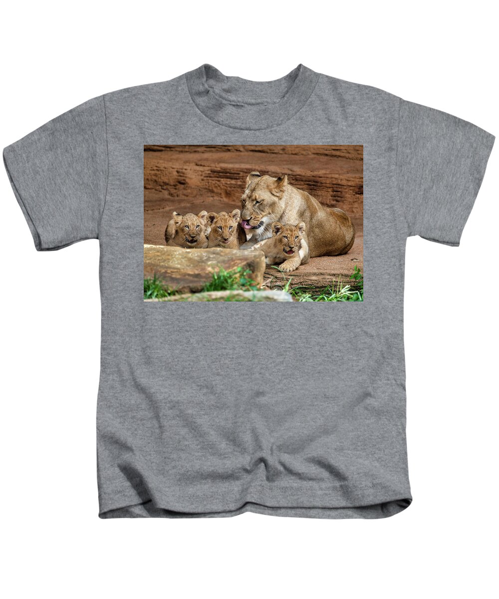 Lions Kids T-Shirt featuring the photograph Pride of the Pride 6114 by Donald Brown