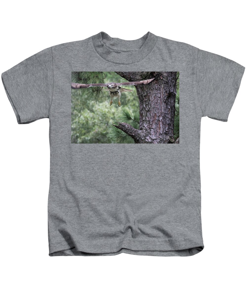 Bird Kids T-Shirt featuring the digital art Red-Tailed Hawk in flight by Ed Stines