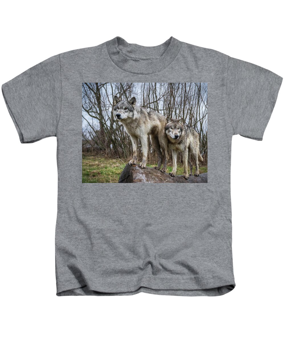 Wolves Wolf Kids T-Shirt featuring the photograph Still Lookin' by Laura Hedien