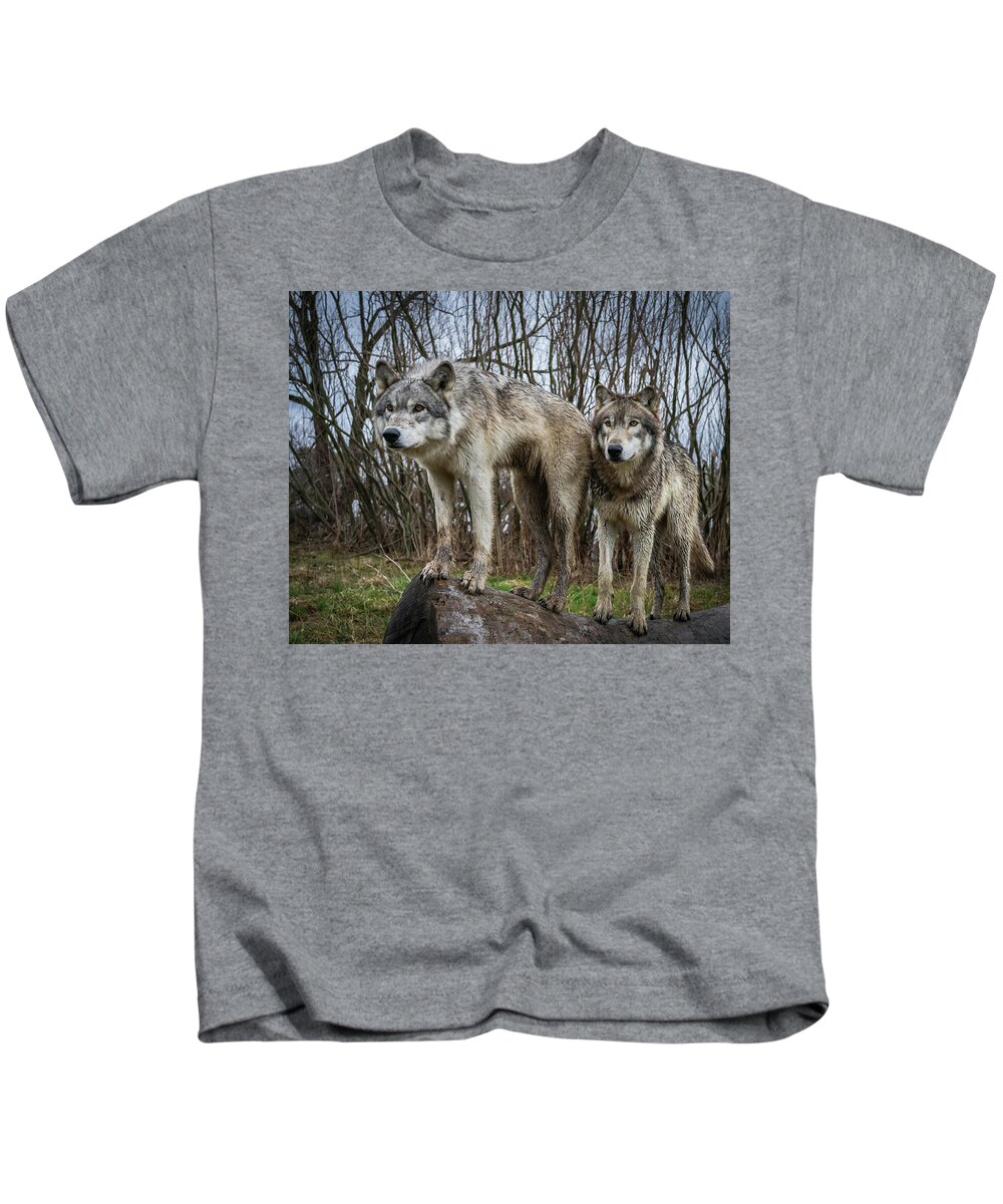 Wolves Wolf Kids T-Shirt featuring the photograph Still Watching by Laura Hedien