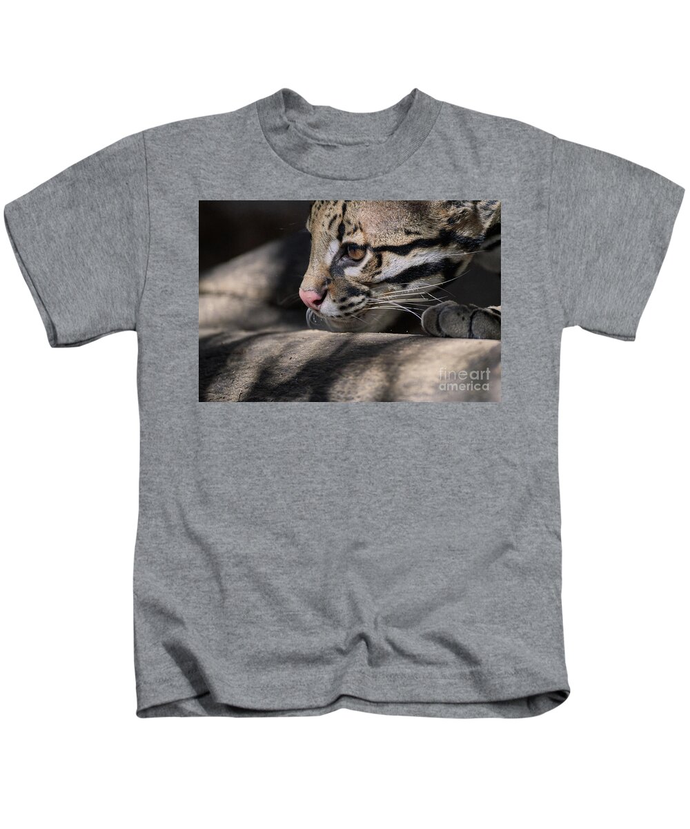 Cat Kids T-Shirt featuring the photograph Studying by Robert WK Clark