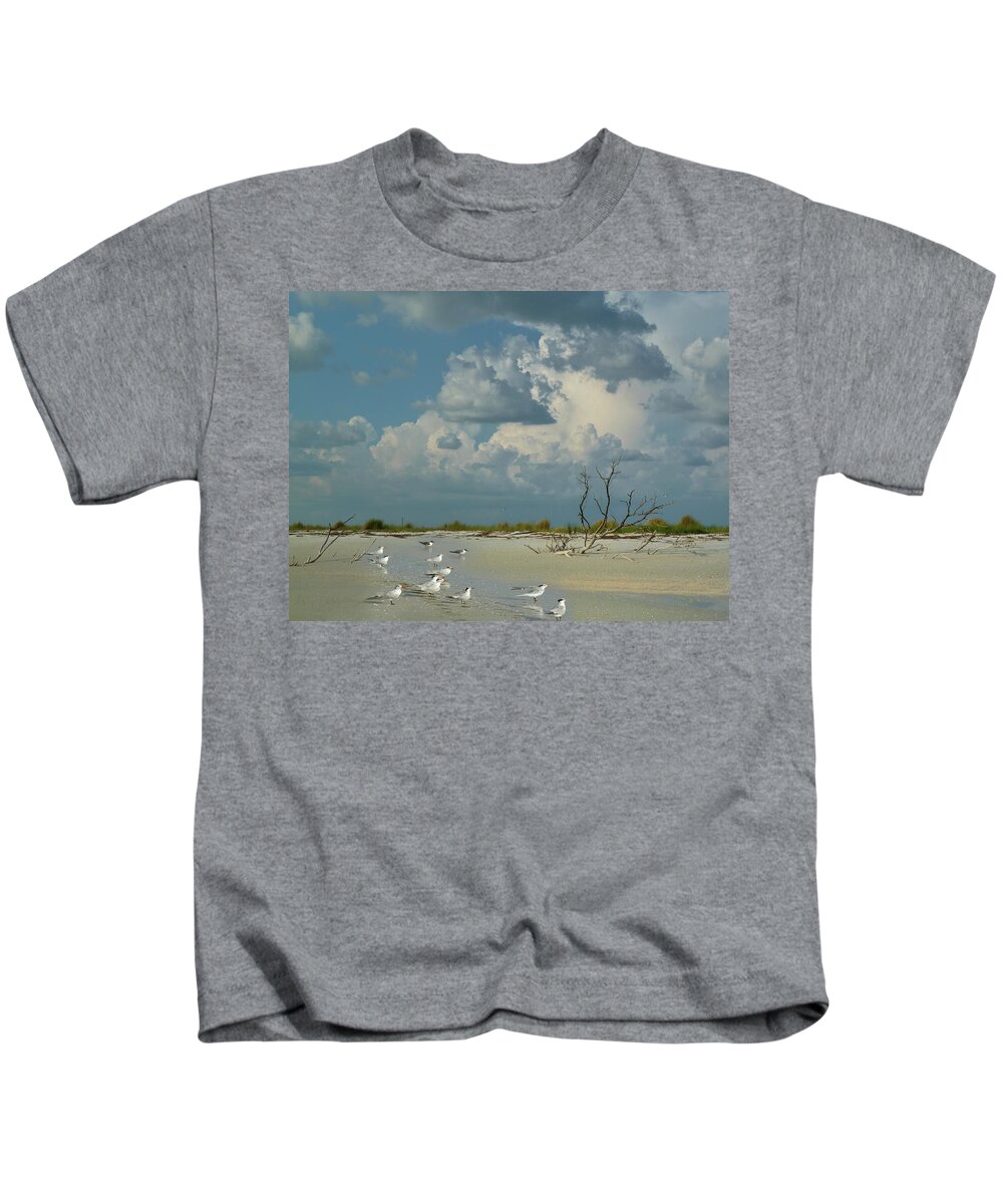 Terns Kids T-Shirt featuring the photograph Terns on the Beach by Lisa Malecki