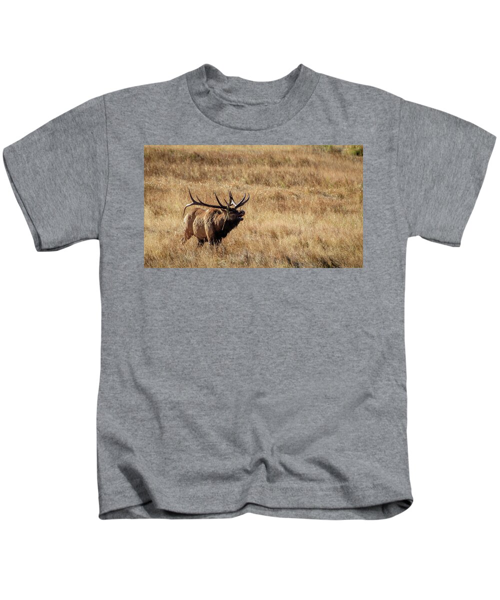 Aspens Kids T-Shirt featuring the photograph The Bugler by Johnny Boyd