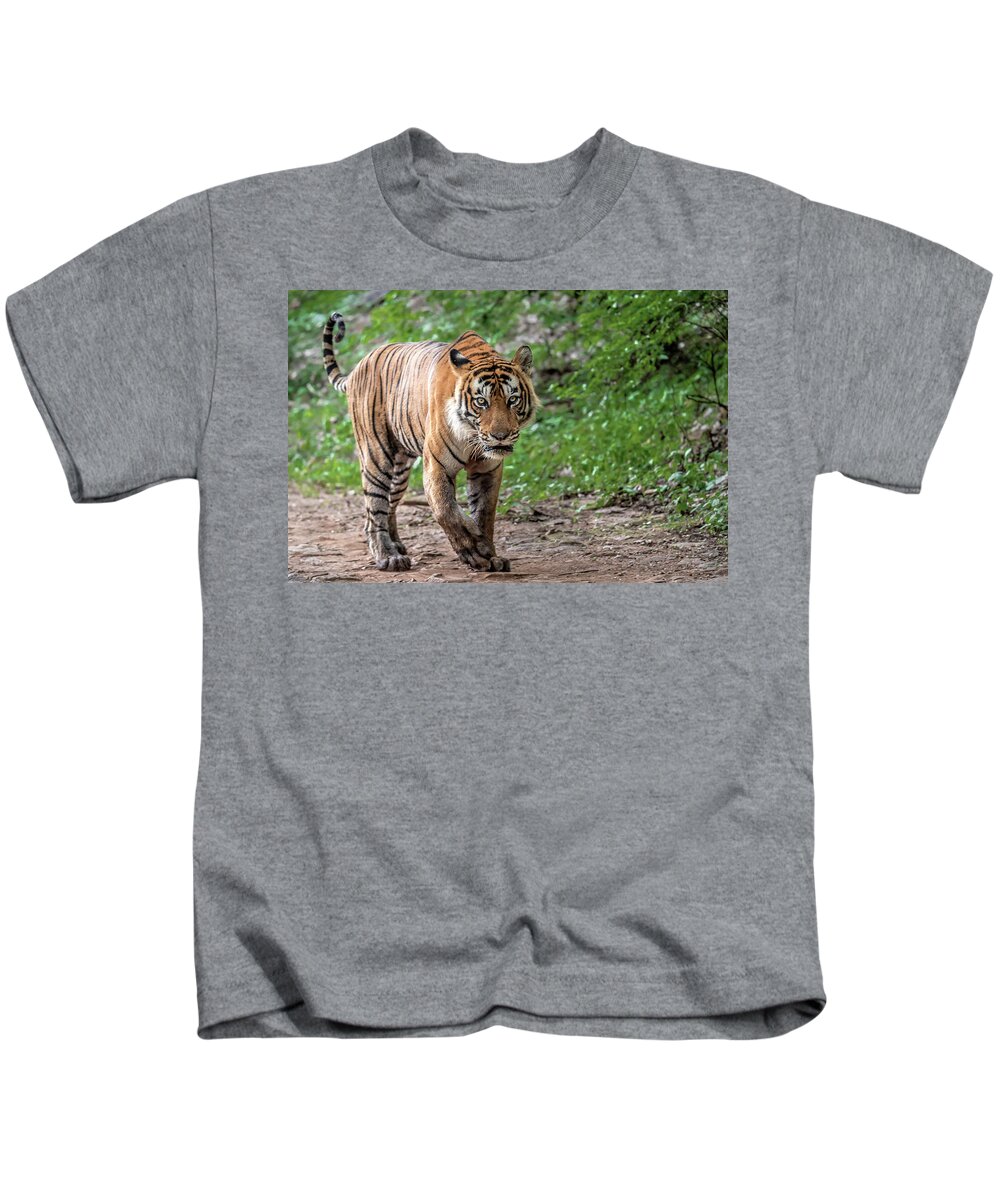 Animal Kids T-Shirt featuring the photograph Tiger on a Stroll by Pravine Chester