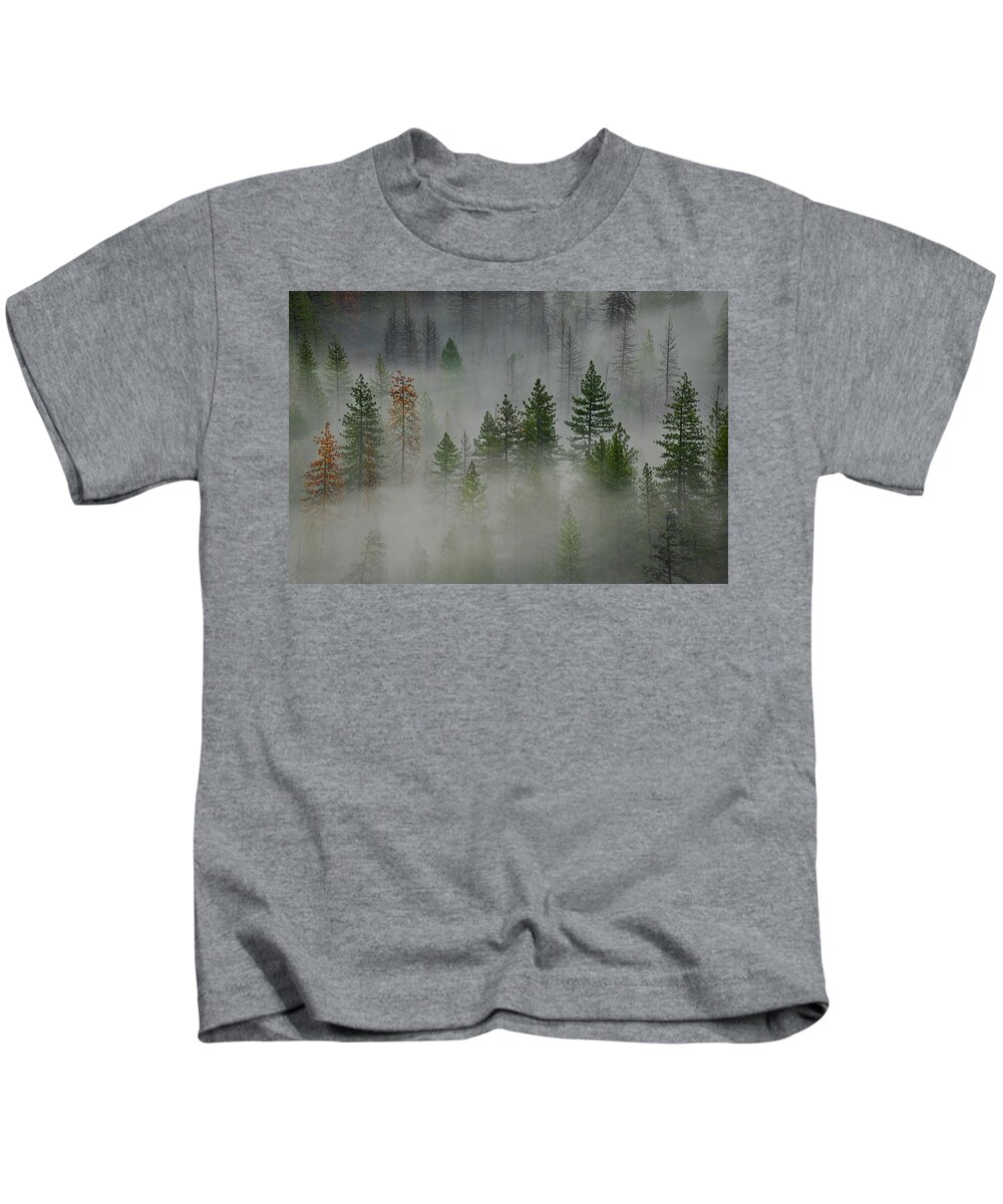 Forest Kids T-Shirt featuring the photograph Trees in Yosemite by Jon Glaser