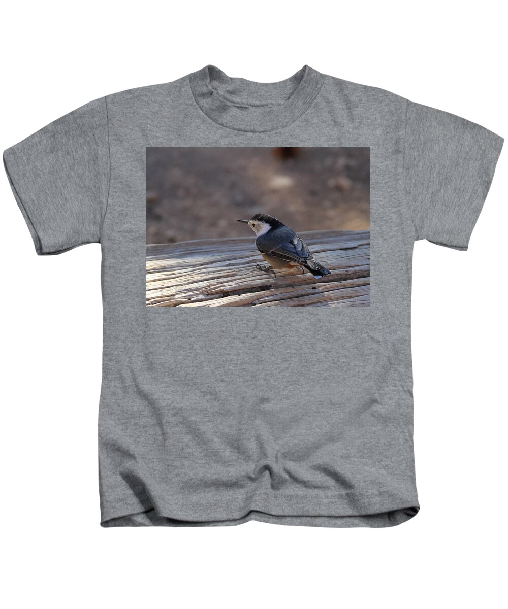 Bryce Canyon National Park Kids T-Shirt featuring the photograph White Breasted Nuthatch by Ed Riche