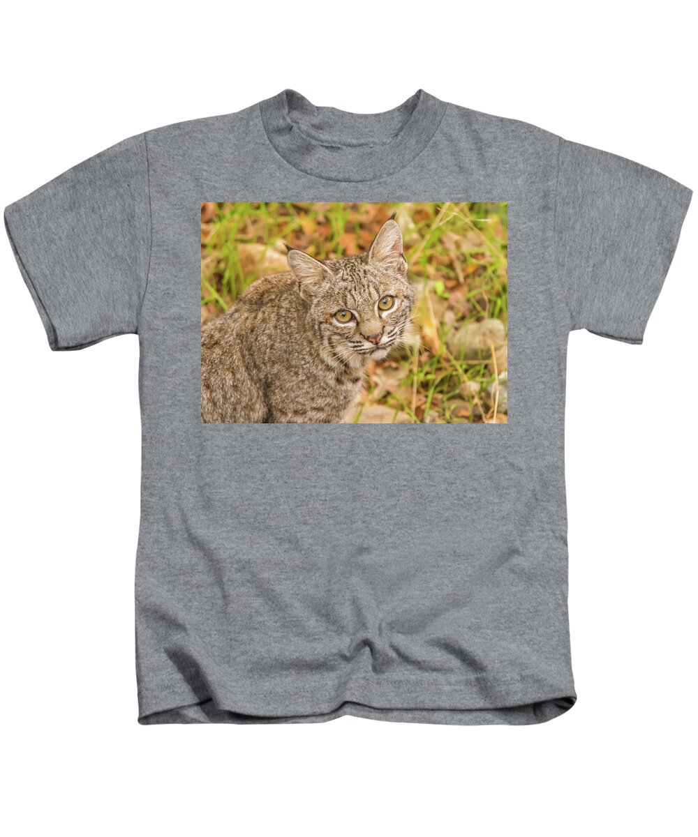 Usa Kids T-Shirt featuring the photograph Young Bobcat by Marc Crumpler
