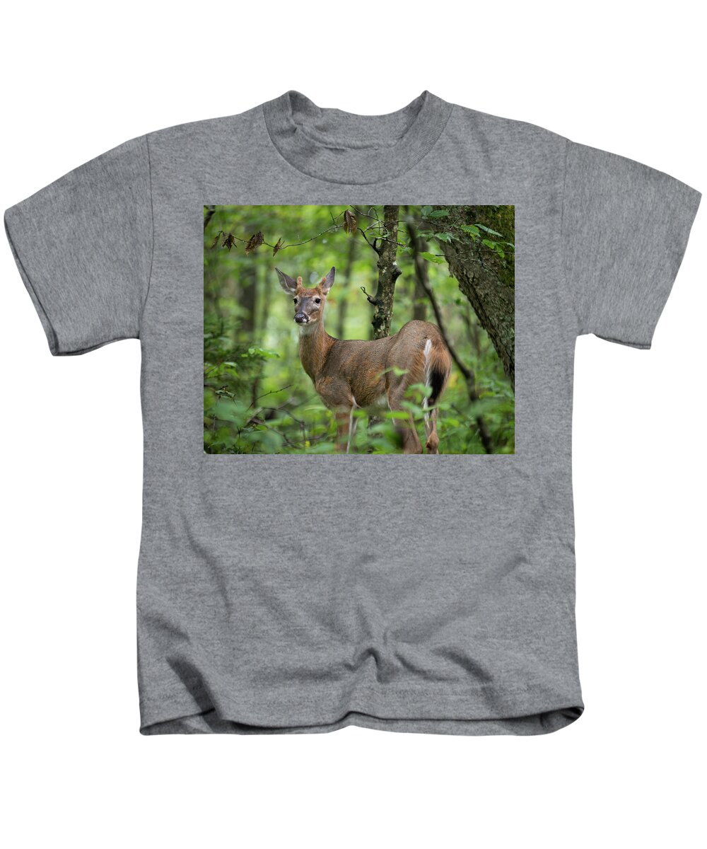 Deer Kids T-Shirt featuring the photograph Young White-tailed Deer, Odocoileus virginianus, with Velvet Antlers by William Dickman