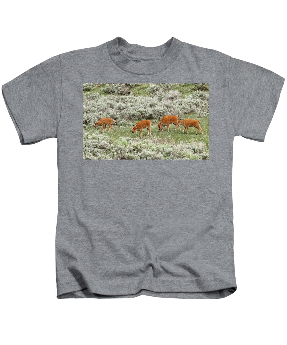 Bison Kids T-Shirt featuring the photograph 4 Amigos #1 by Ronnie And Frances Howard