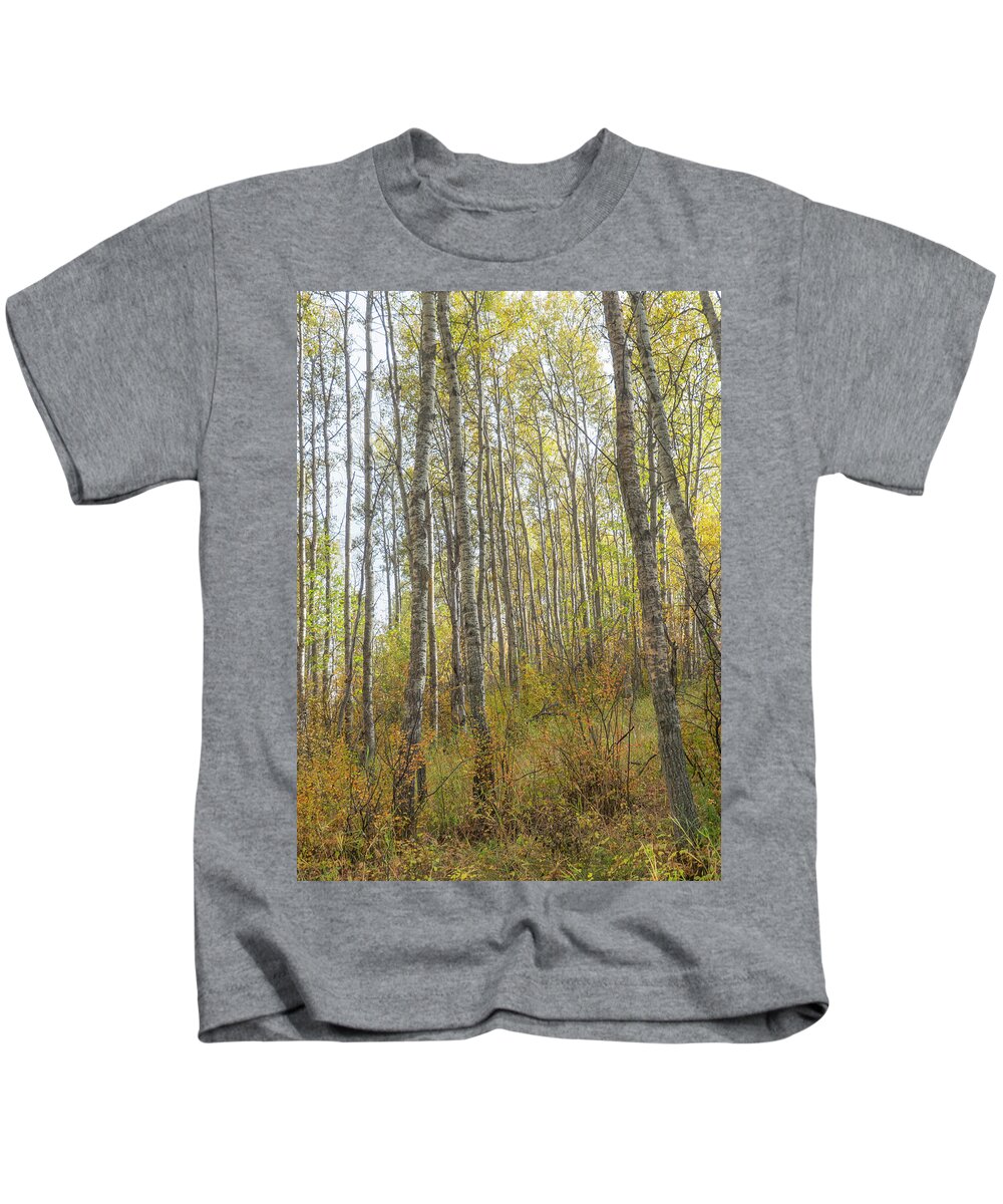 Woods Kids T-Shirt featuring the photograph Autumn Woods by Karen Rispin