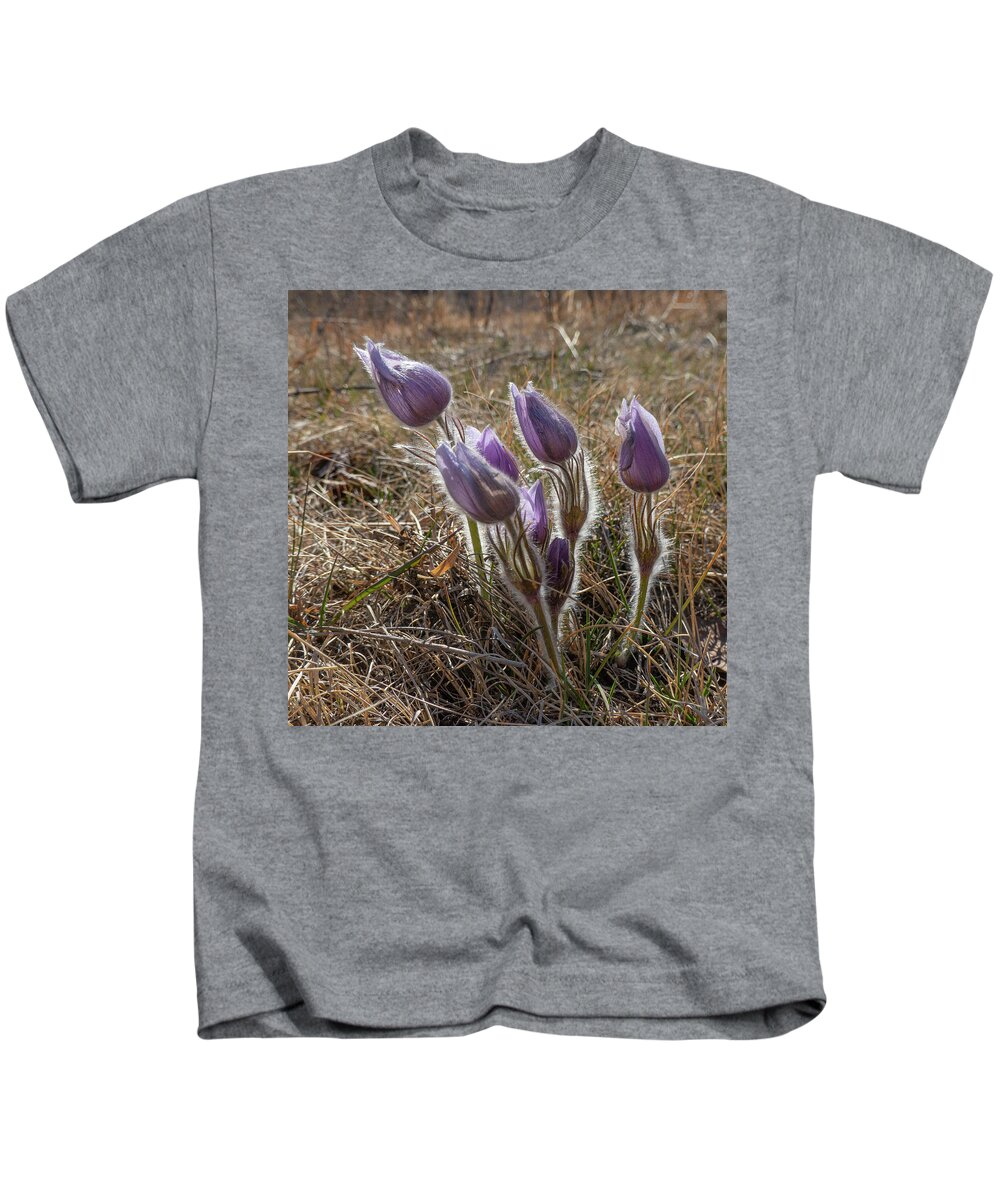 Crocus Kids T-Shirt featuring the photograph Spring Prairie Crocus by Karen Rispin