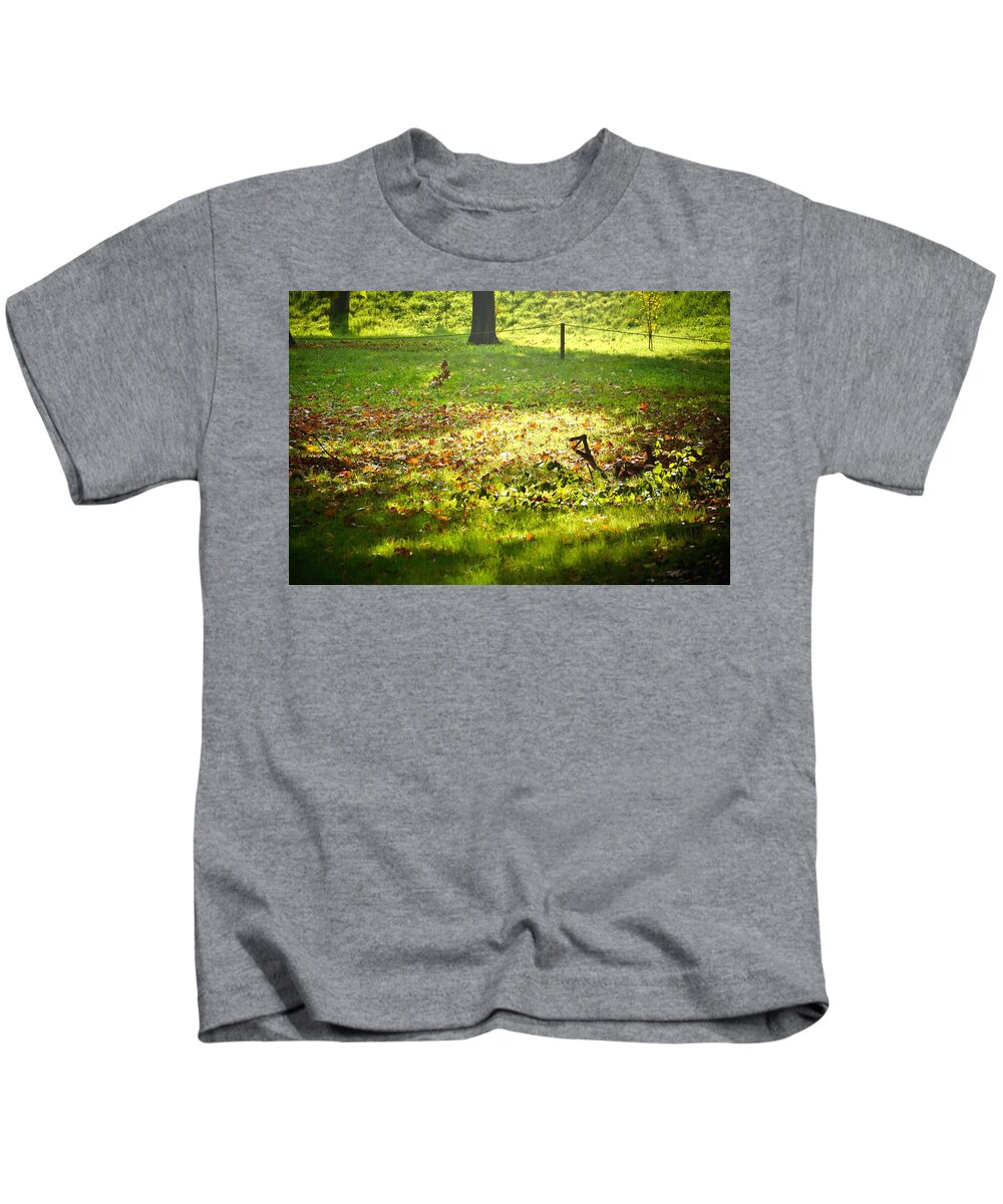 Trees Kids T-Shirt featuring the photograph Parco Cavour. Ottobre 2016 #4 by Marco Cattaruzzi