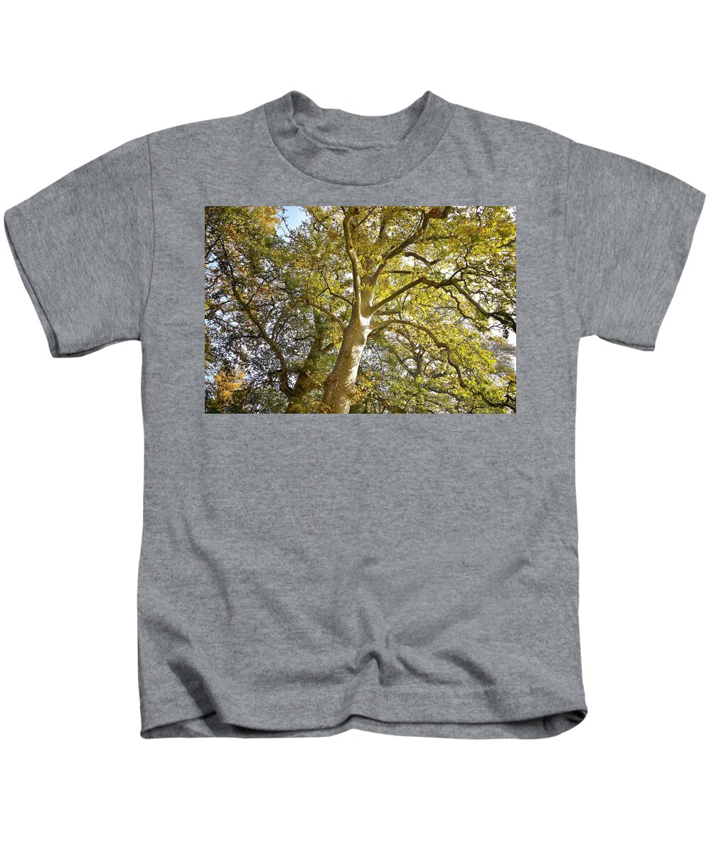 Trees Kids T-Shirt featuring the photograph Parco Cavour. Ottobre 2016 #2 by Marco Cattaruzzi