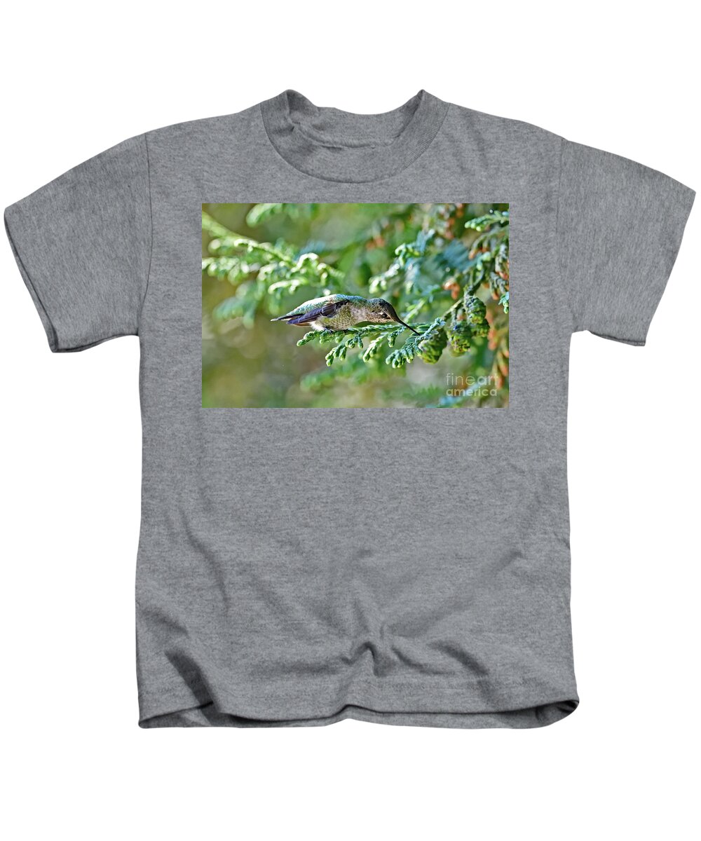 Anna's Hummingbird Kids T-Shirt featuring the photograph A Curious Anna's Hummingbird by Amazing Action Photo Video