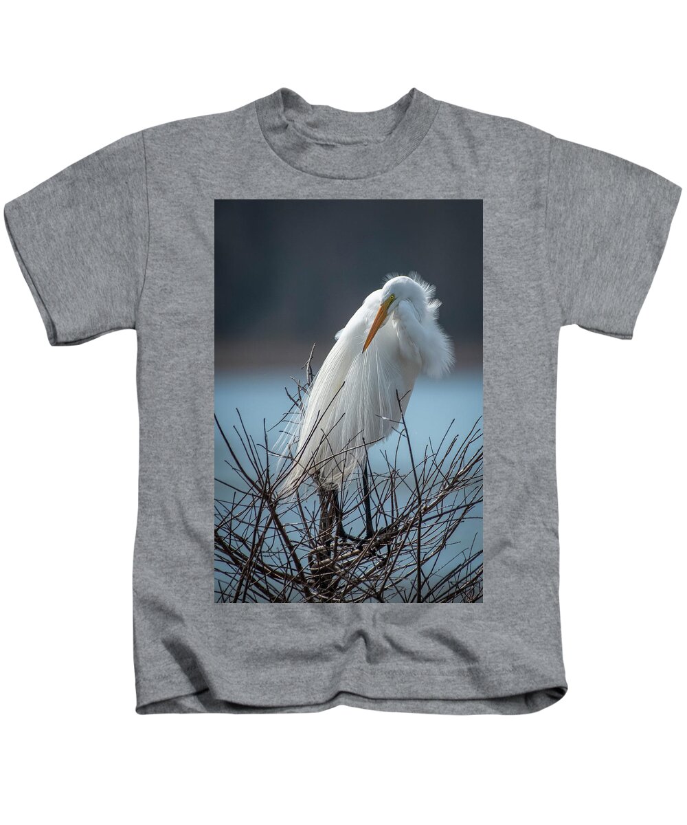 Egret Kids T-Shirt featuring the photograph A Flowing Robe On A Noble Lady by Cindy Lark Hartman