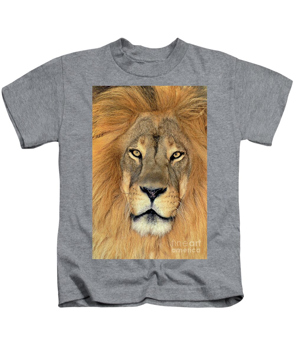 African Lion Kids T-Shirt featuring the photograph African Lion Portrait Wildlife Rescue by Dave Welling