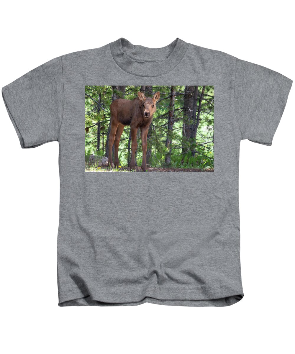 Moose Kids T-Shirt featuring the photograph All Legs by Darlene Bushue