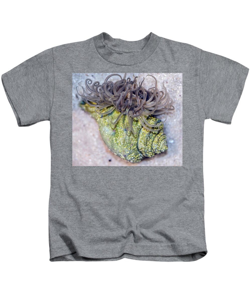 Sea Kids T-Shirt featuring the photograph Anemone In a Shell by WAZgriffin Digital