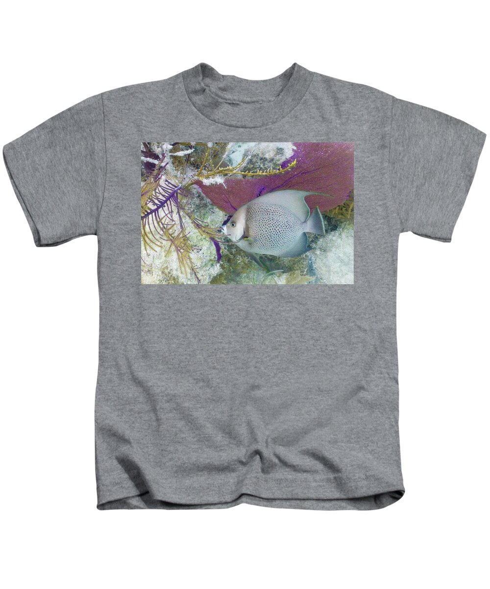 Animals Kids T-Shirt featuring the photograph Angelic by Lynne Browne