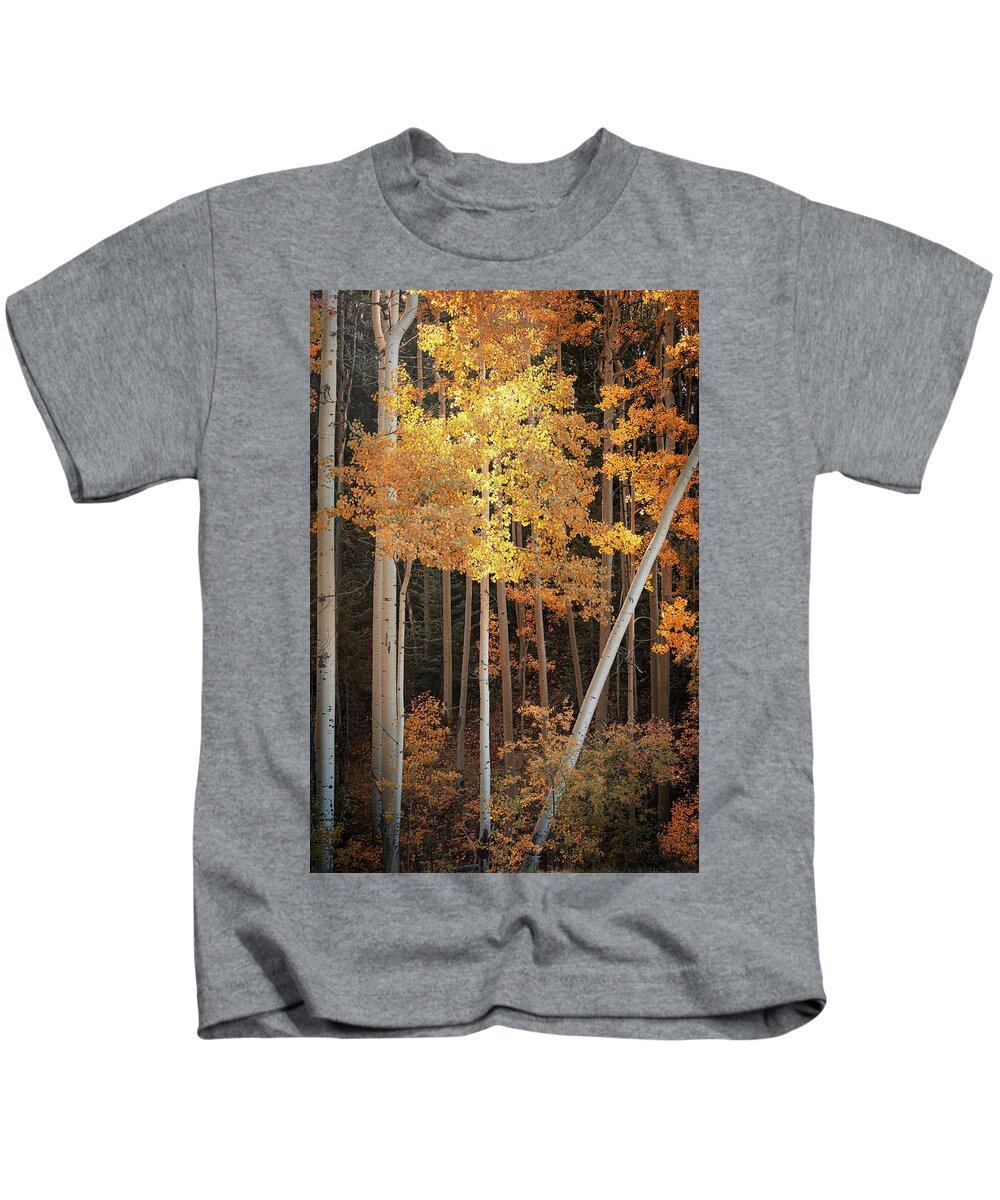 Scenics Kids T-Shirt featuring the photograph Aspen Glow by Mary Lee Dereske
