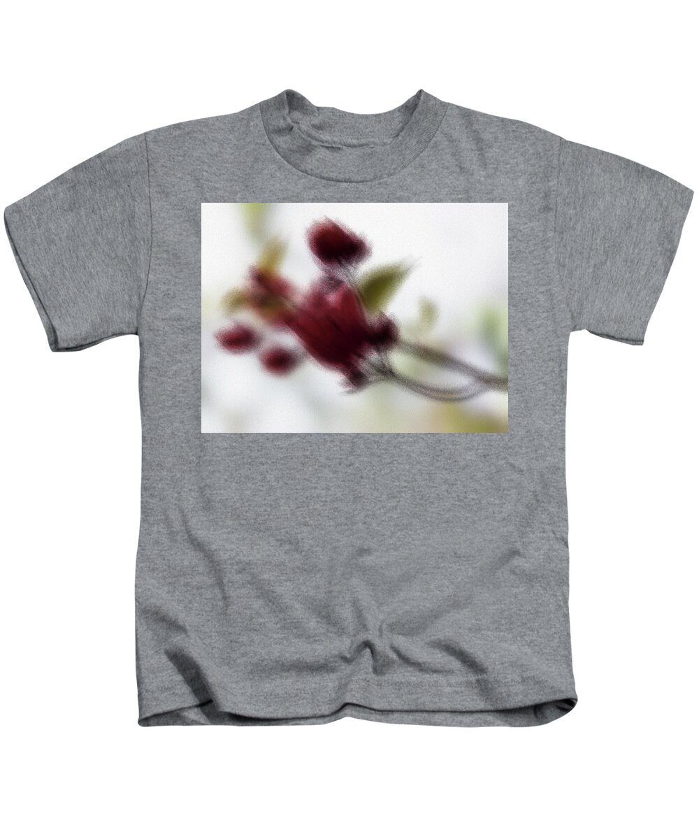 Autumn Red Kids T-Shirt featuring the photograph Autumn Red by Al Fio Bonina