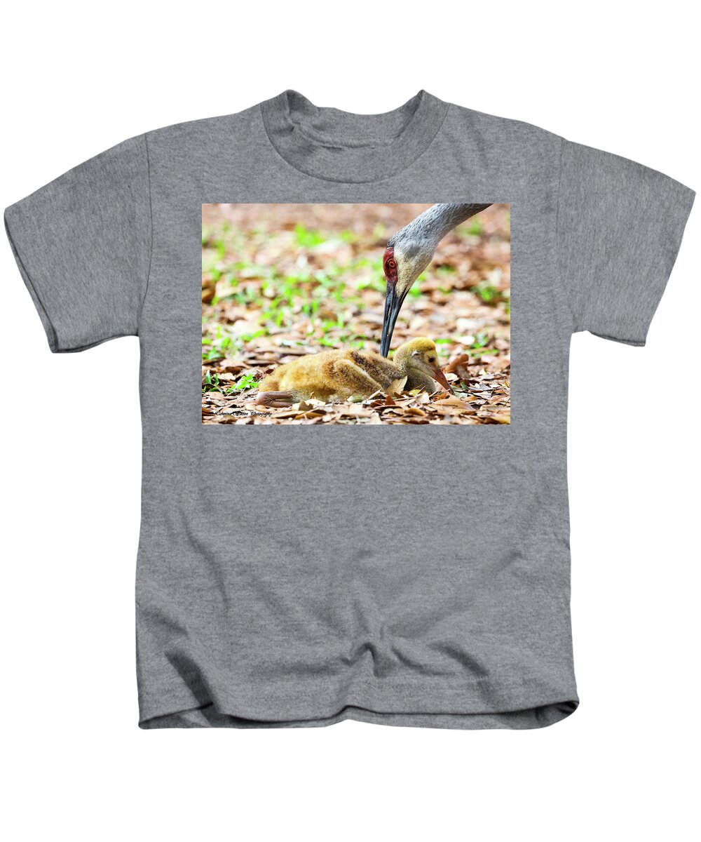 Baby Kids T-Shirt featuring the photograph Baby and Mama Sandhill Crane by Tahmina Watson