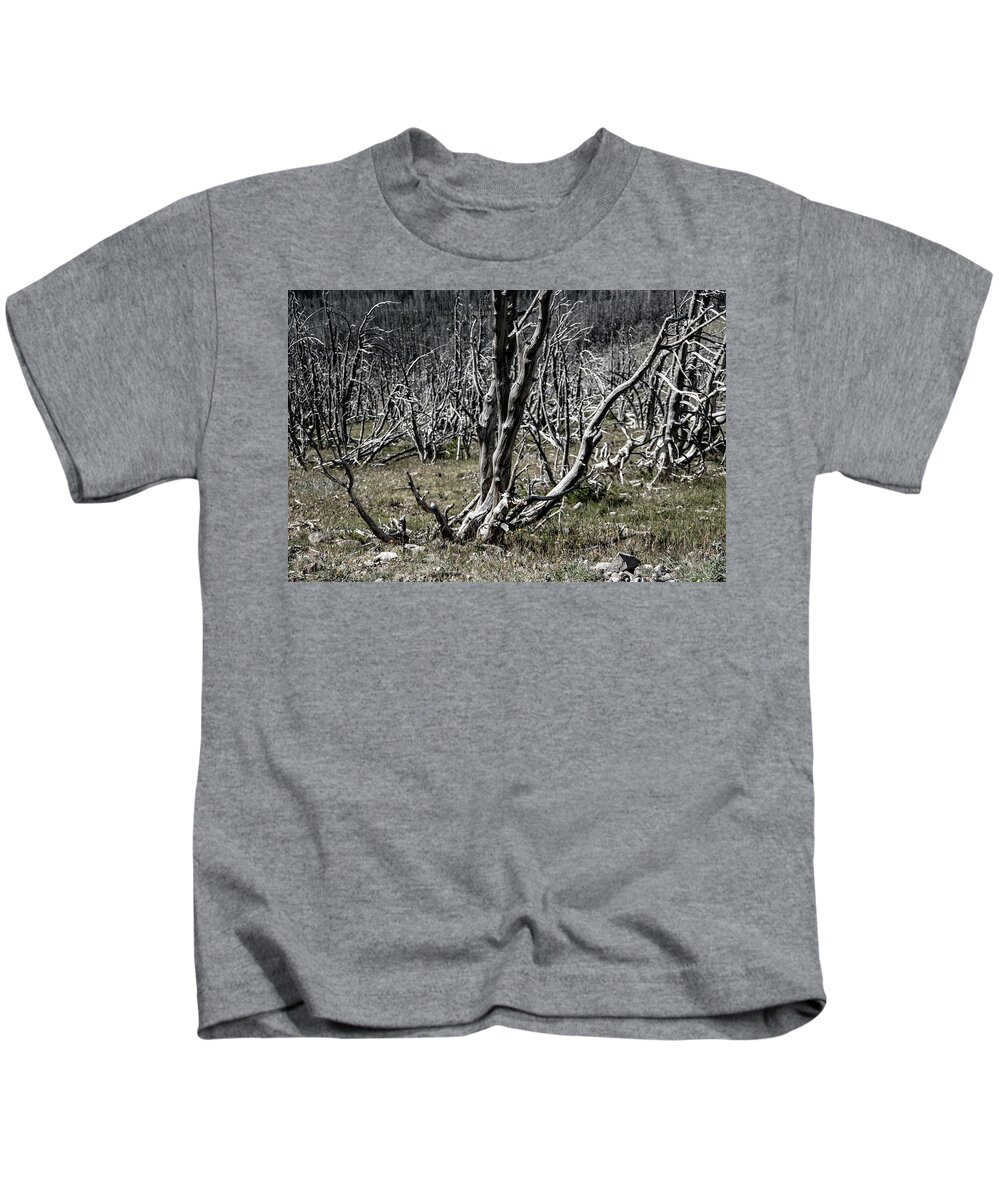 No People Kids T-Shirt featuring the photograph Bare Tree by Nathan Wasylewski