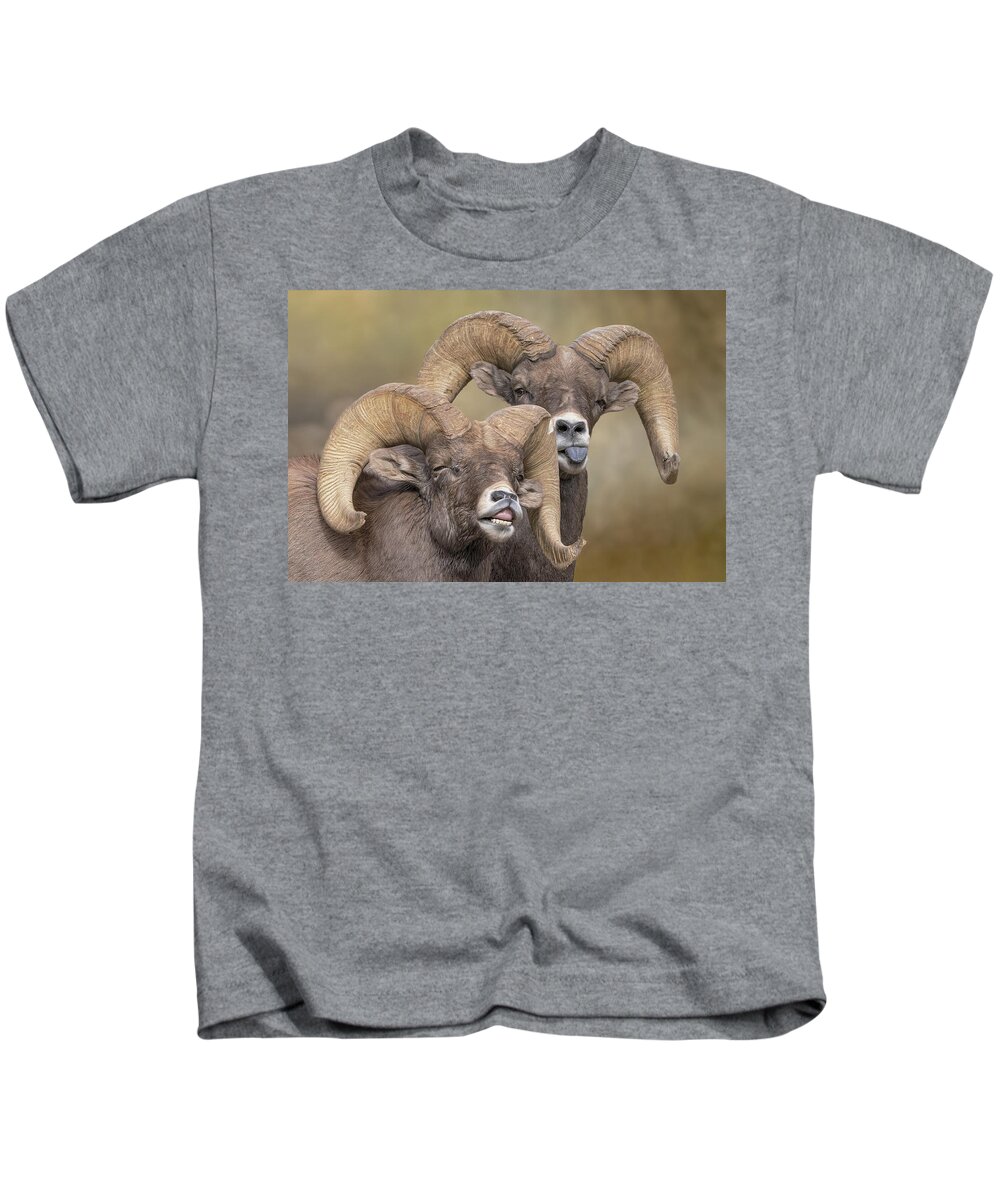 Bighorn Sheep Kids T-Shirt featuring the photograph Bighorn Sheep Making Faces by Lowell Monke