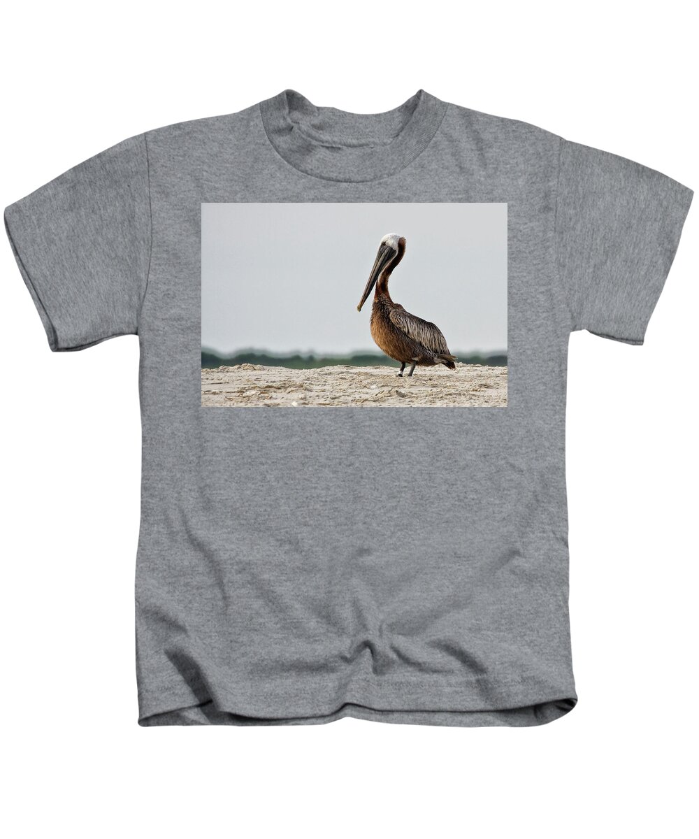 Brown Pelican Kids T-Shirt featuring the photograph Brown Pelican on North Carolina Beach by Bob Decker