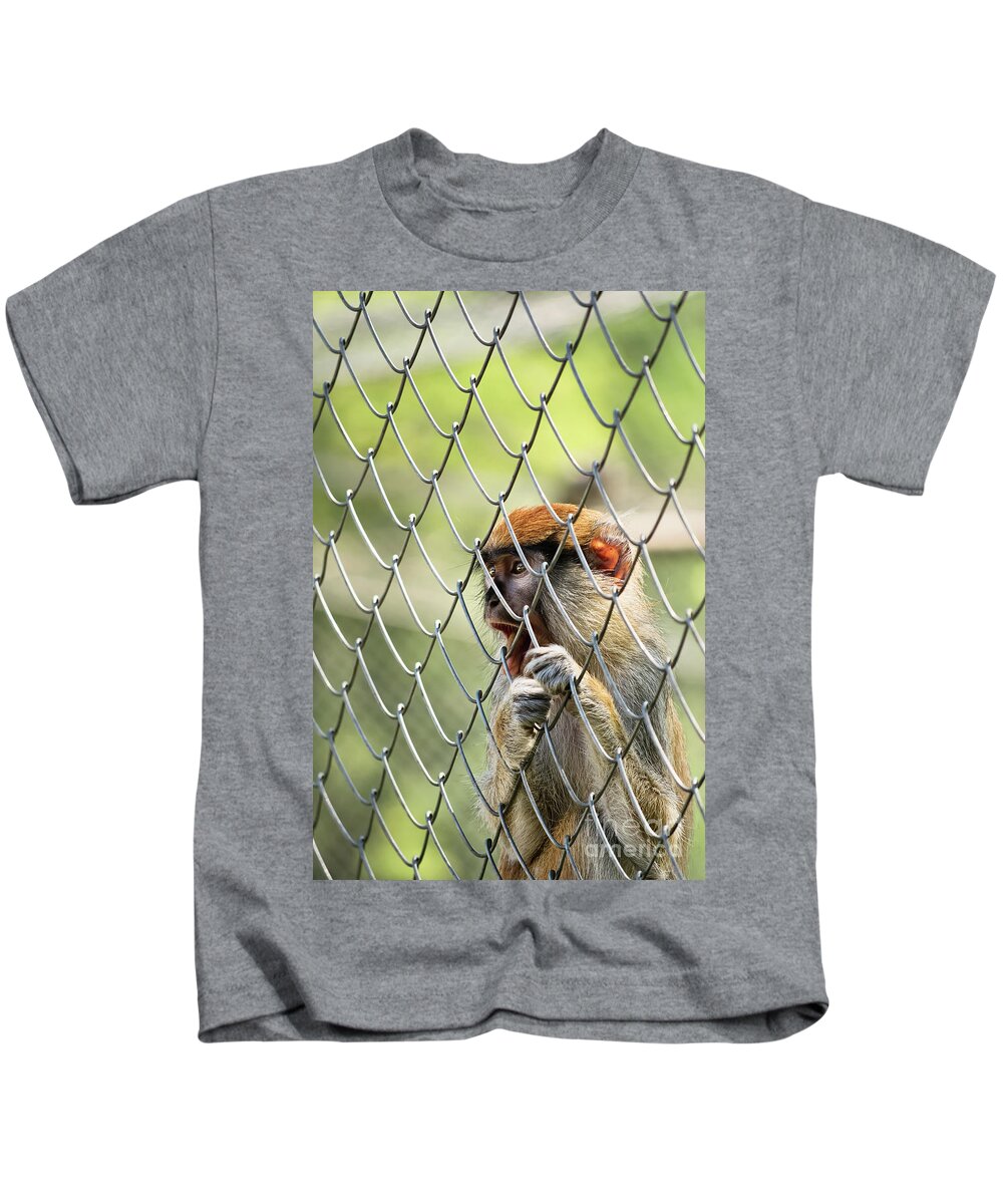 Monkey Kids T-Shirt featuring the photograph Caged monkey by Mendelex Photography
