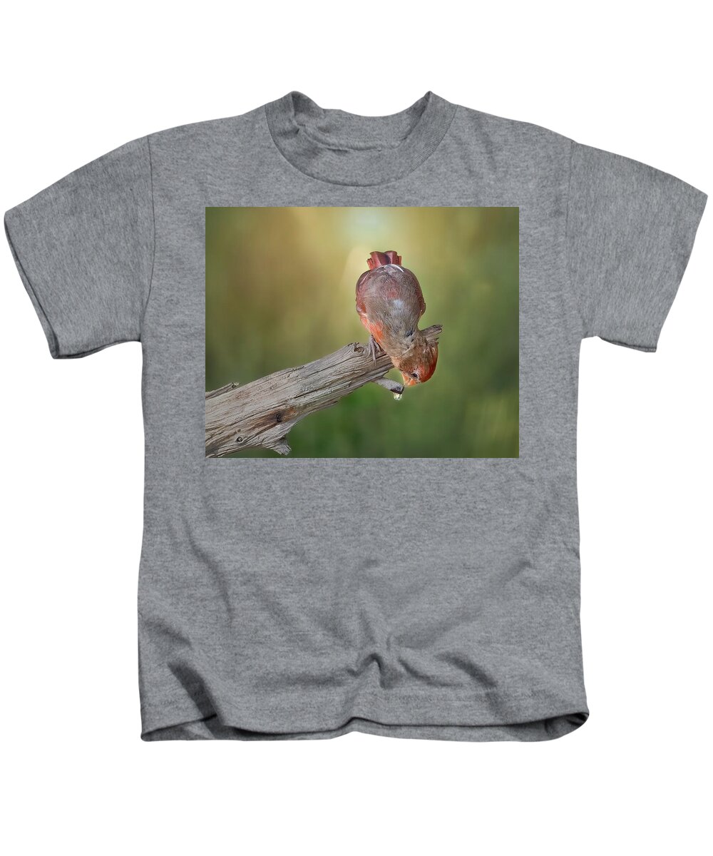 Cardinal Kids T-Shirt featuring the photograph Cardinal at Water Drip by Cheri Freeman