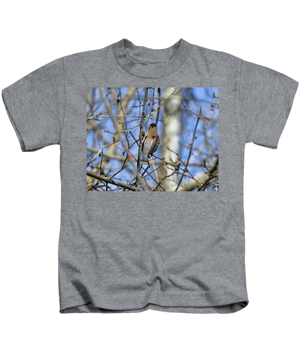  Kids T-Shirt featuring the photograph Cedar Waxwing 5 by David Armstrong