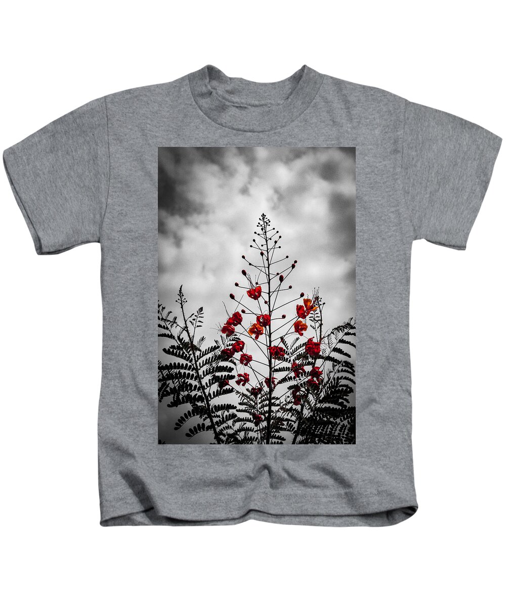 Caesalpinia Pulcherrima Kids T-Shirt featuring the photograph Cloudy Day Peacock Flower by W Craig Photography