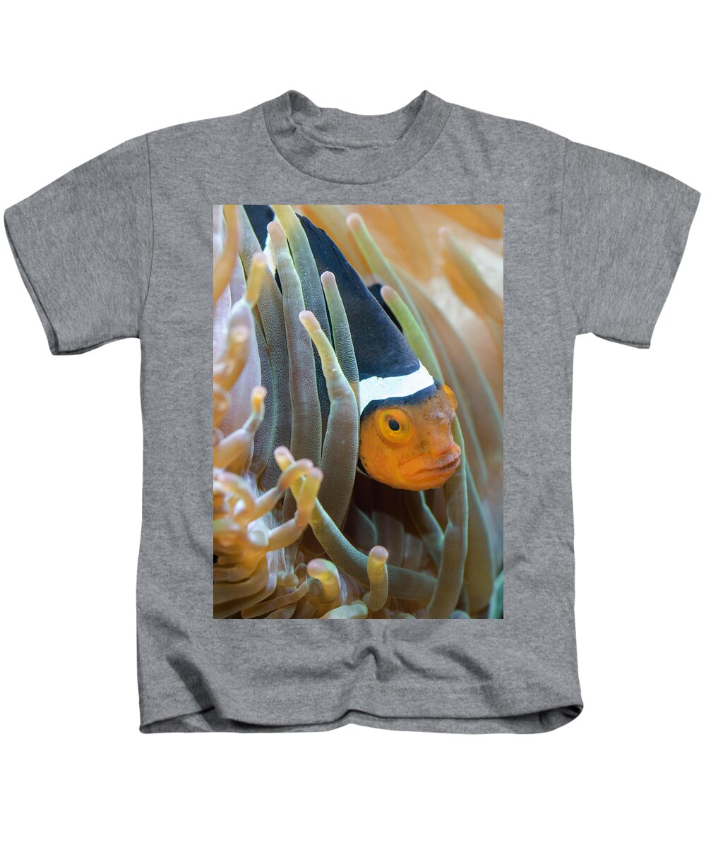Clownfish Kids T-Shirt featuring the photograph Clownfish Hiding in Anemones by WAZgriffin Digital